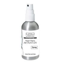 Resin Rapid Aktivator Spray